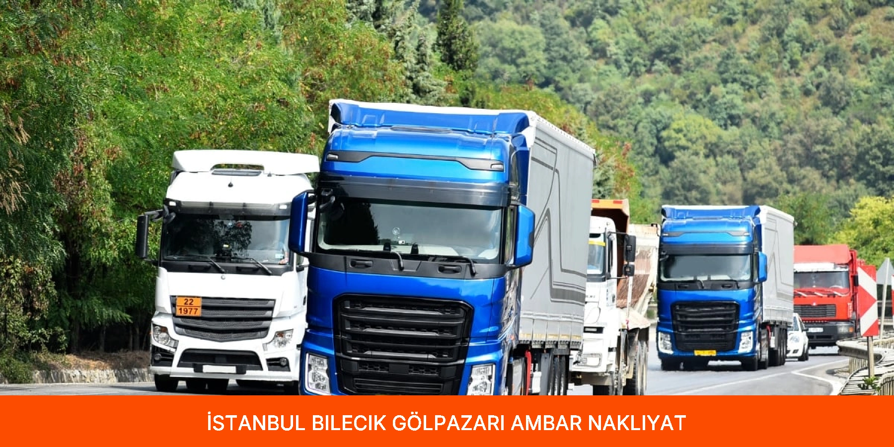 Gölpazarı Ambar